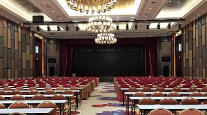 德国SAL携手韩国HAYACO会议系统打造黔南州都匀毛尖...